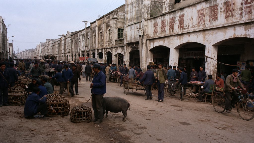 赶集老街,骑楼店铺林立,人群熙攘,地摊售卖活猪与竹笼,年代怀旧写实场景