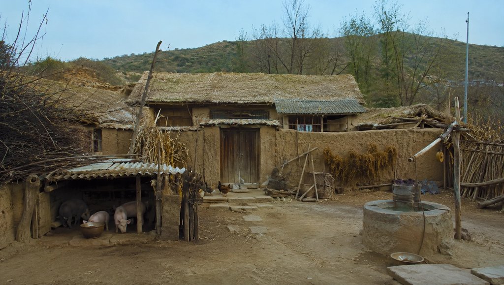 乡村土墙院落,柴门猪圈鸡舍,压水井,年代怀旧写实风格