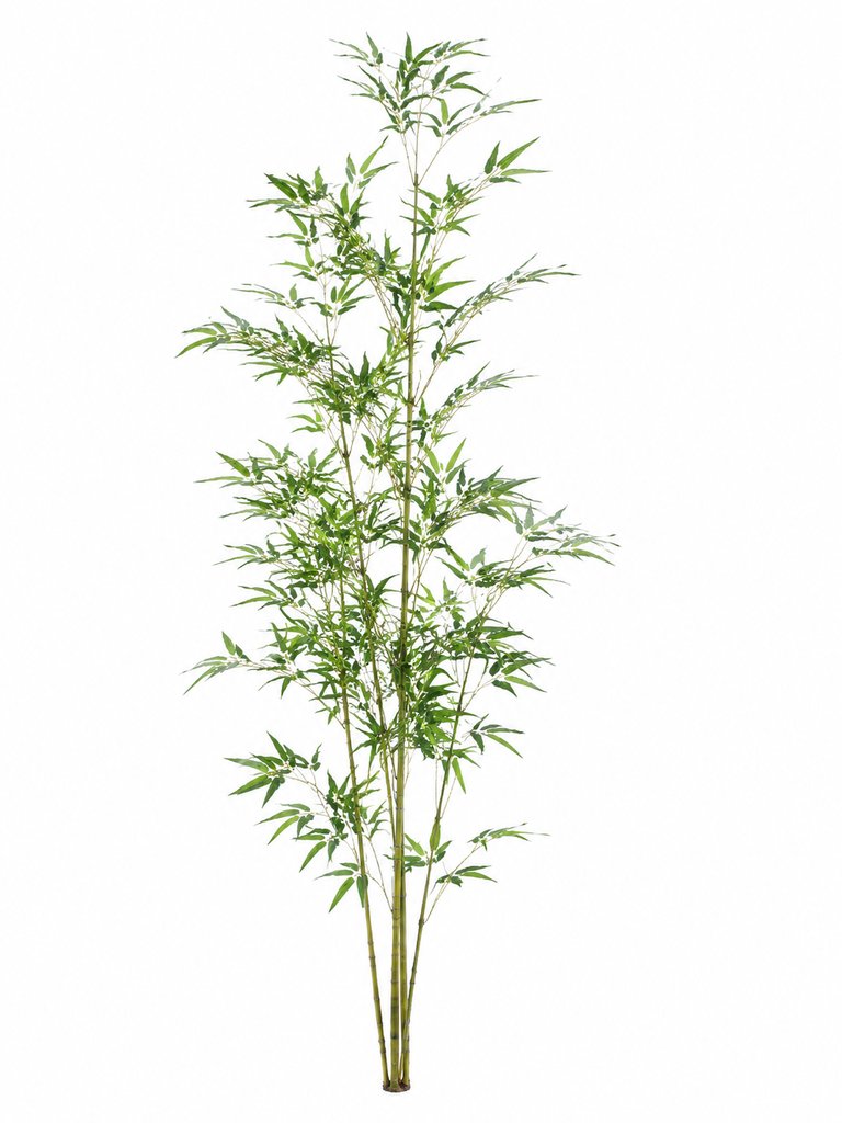 翠竹修长竹竿，青叶繁茂，写实风格古装宫廷植物